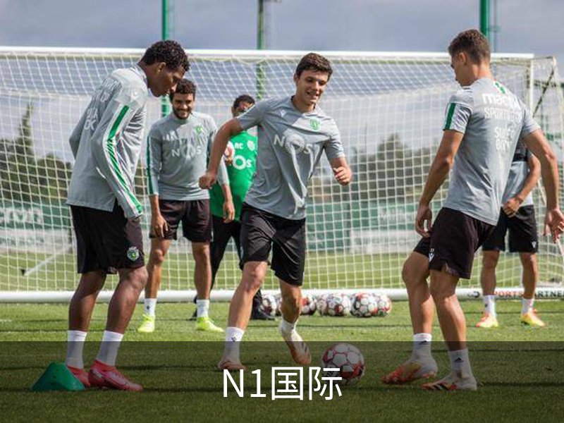 N1国际介绍