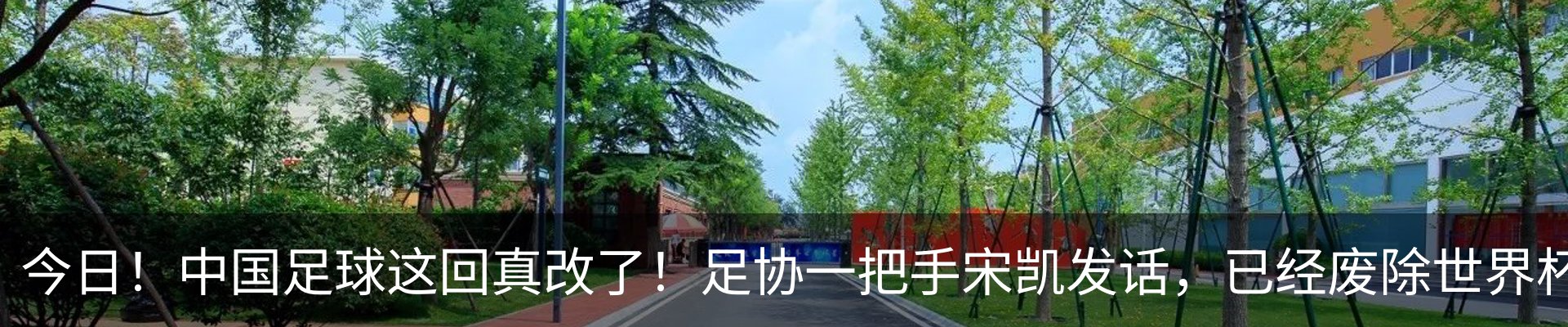 行业资讯