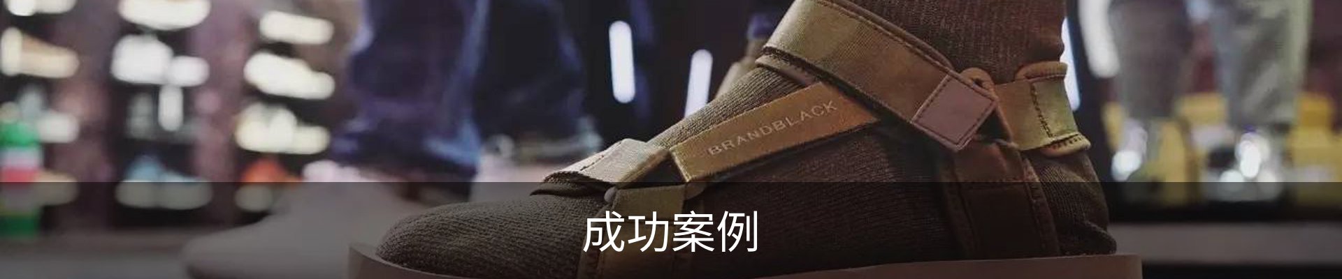 成功案例